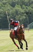 Polo & Riding Lessons with Megan Flynn