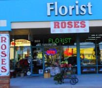 Sarasota Florist