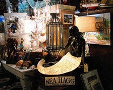 The Sea Hagg