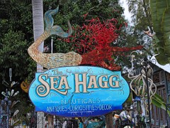 The Sea Hagg