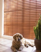 Blinds and Designs of Florida