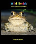 Wild Florida Insects, Amphibians and Reptiles by Ineta Love Wonder