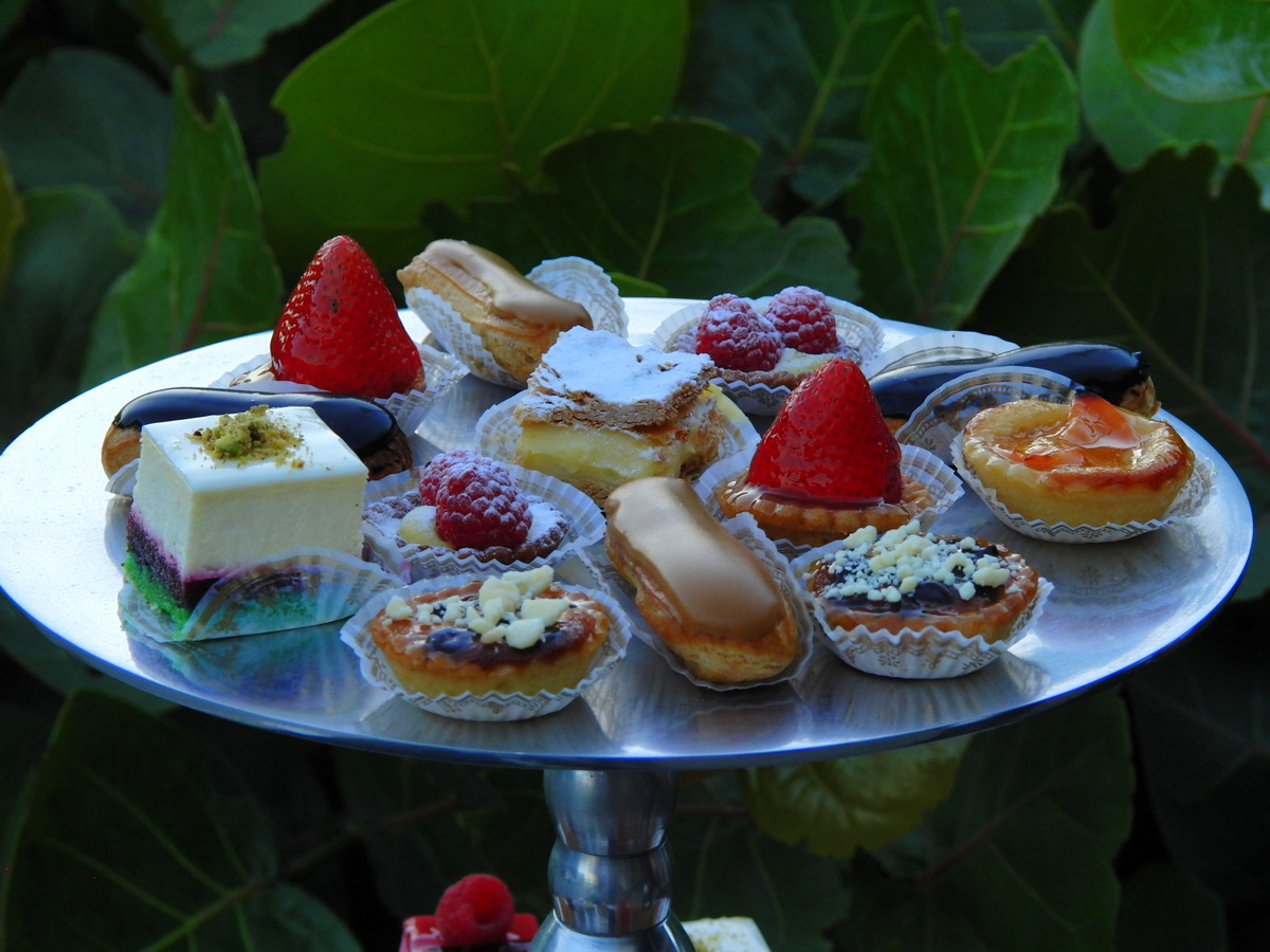 Lolita Tartine Must See Sarasota