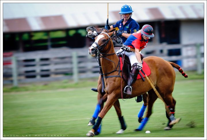 polo riding pants